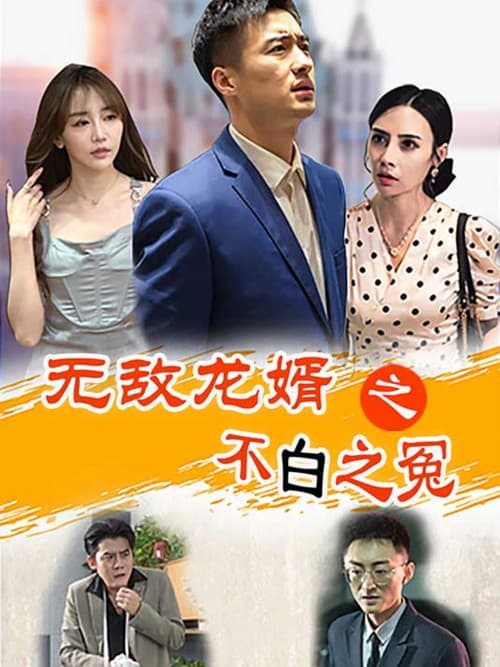 无敌龙婿之不白之冤 posteri