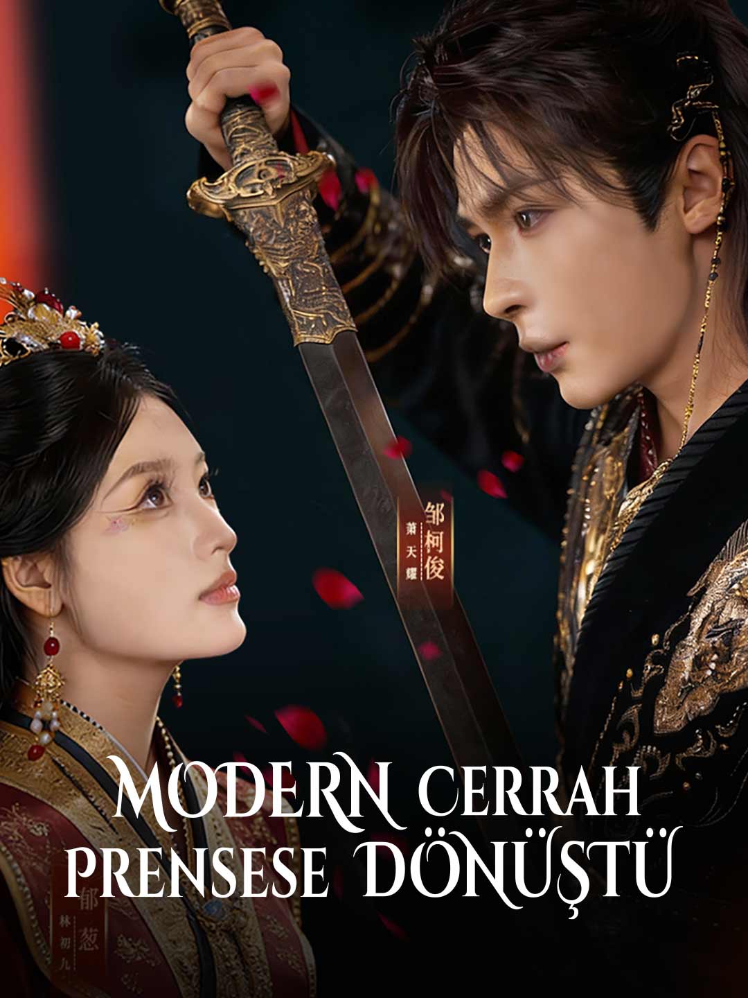 Modern Cerrah Prensese Dönüştü posteri