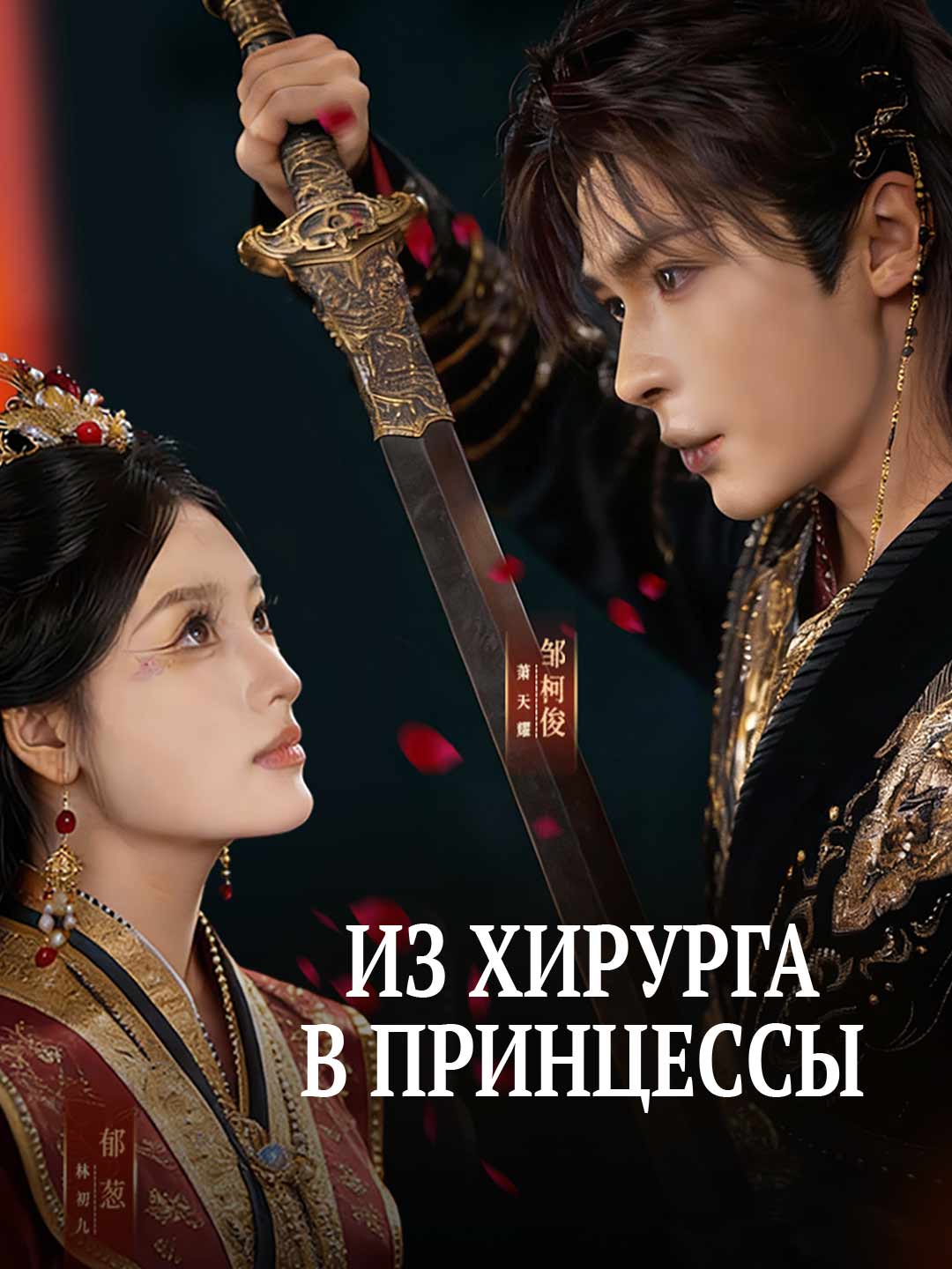 Из хирурга в принцессы posteri