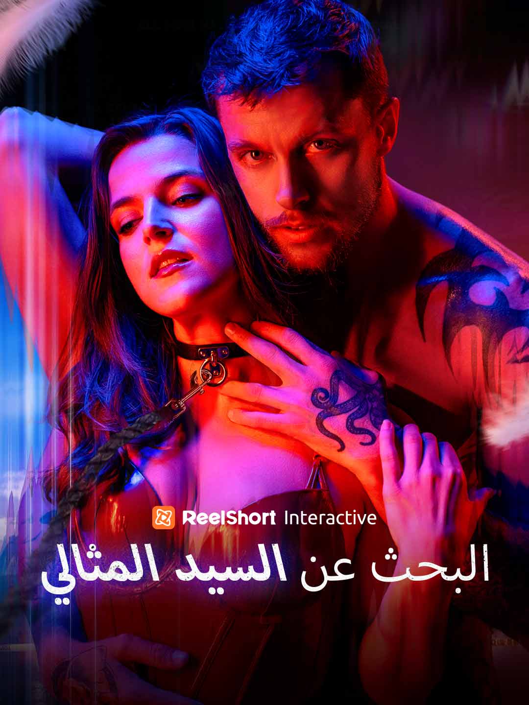 البحث عن السيد المثالي posteri