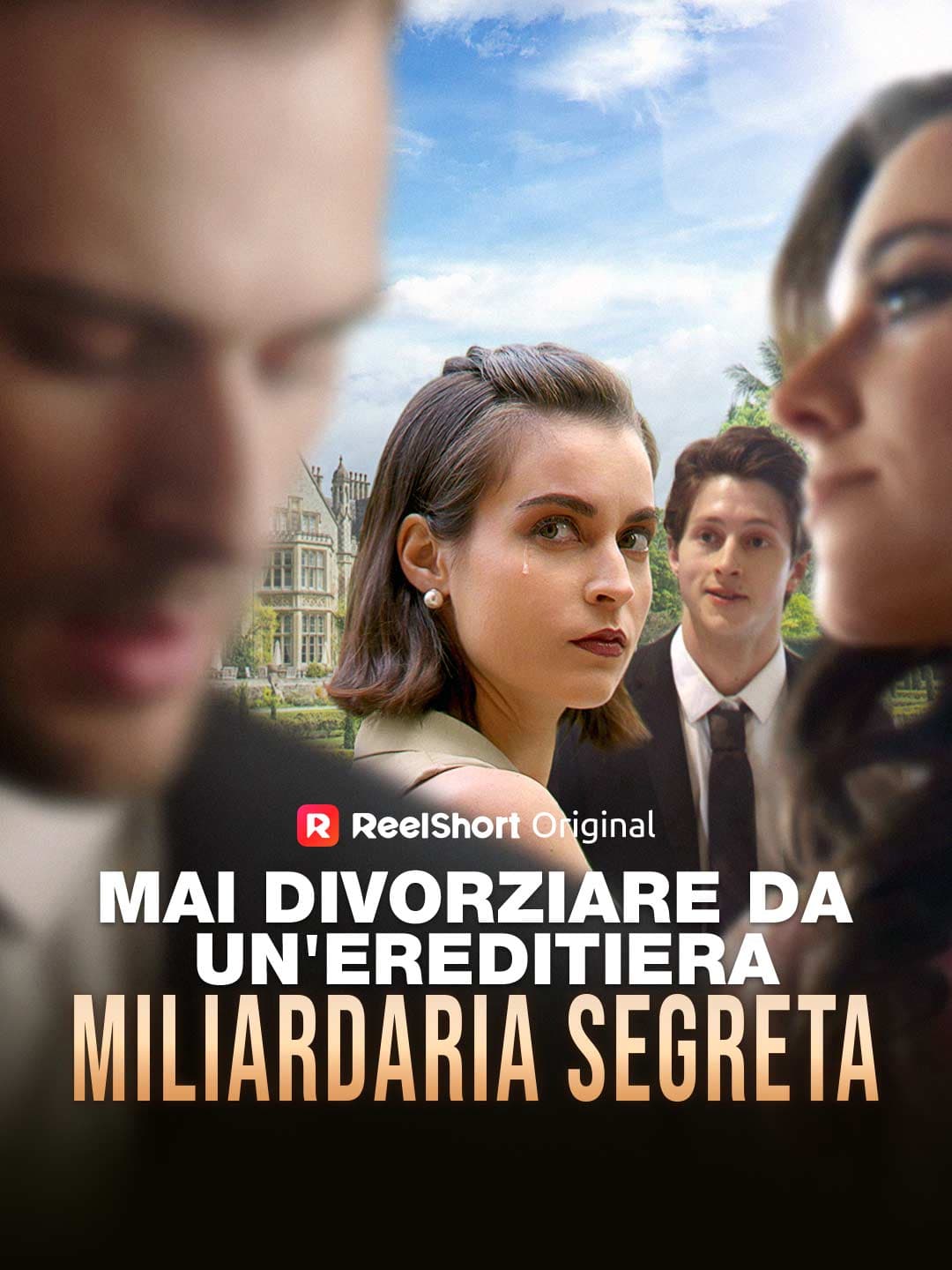 Mai divorziare da un'ereditiera miliardaria segreta posteri