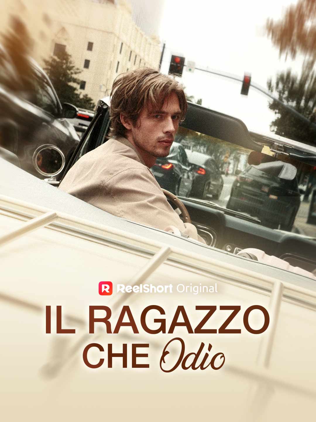 Il ragazzo che odio posteri