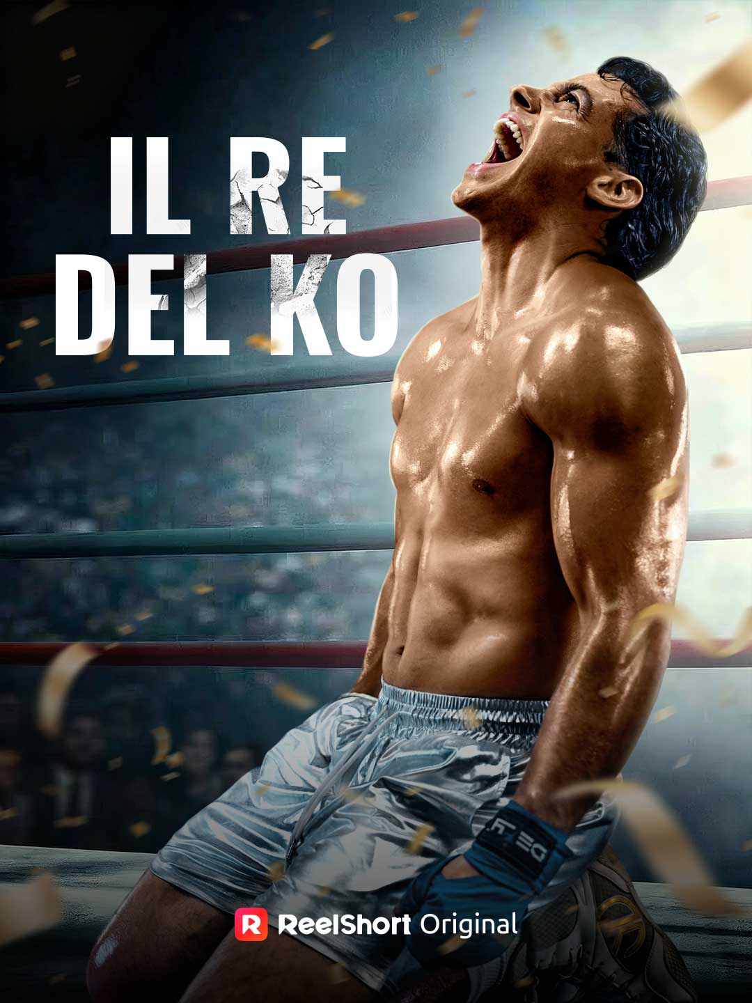Il Re del KO posteri