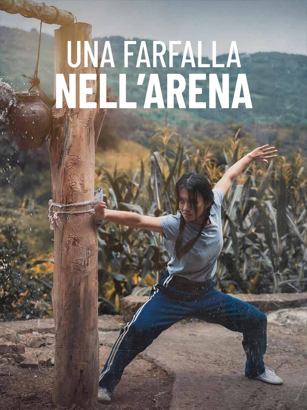 Una farfalla nell’arena posteri