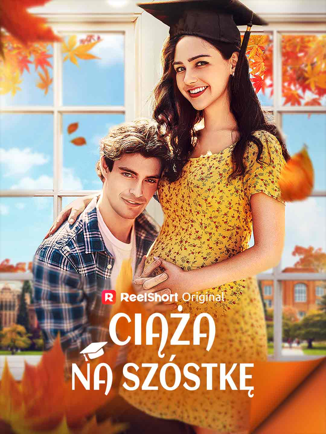 Ciąża na szóstkę posteri