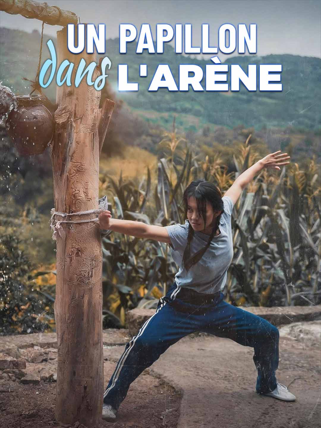 Un Papillon dans l'Arène posteri