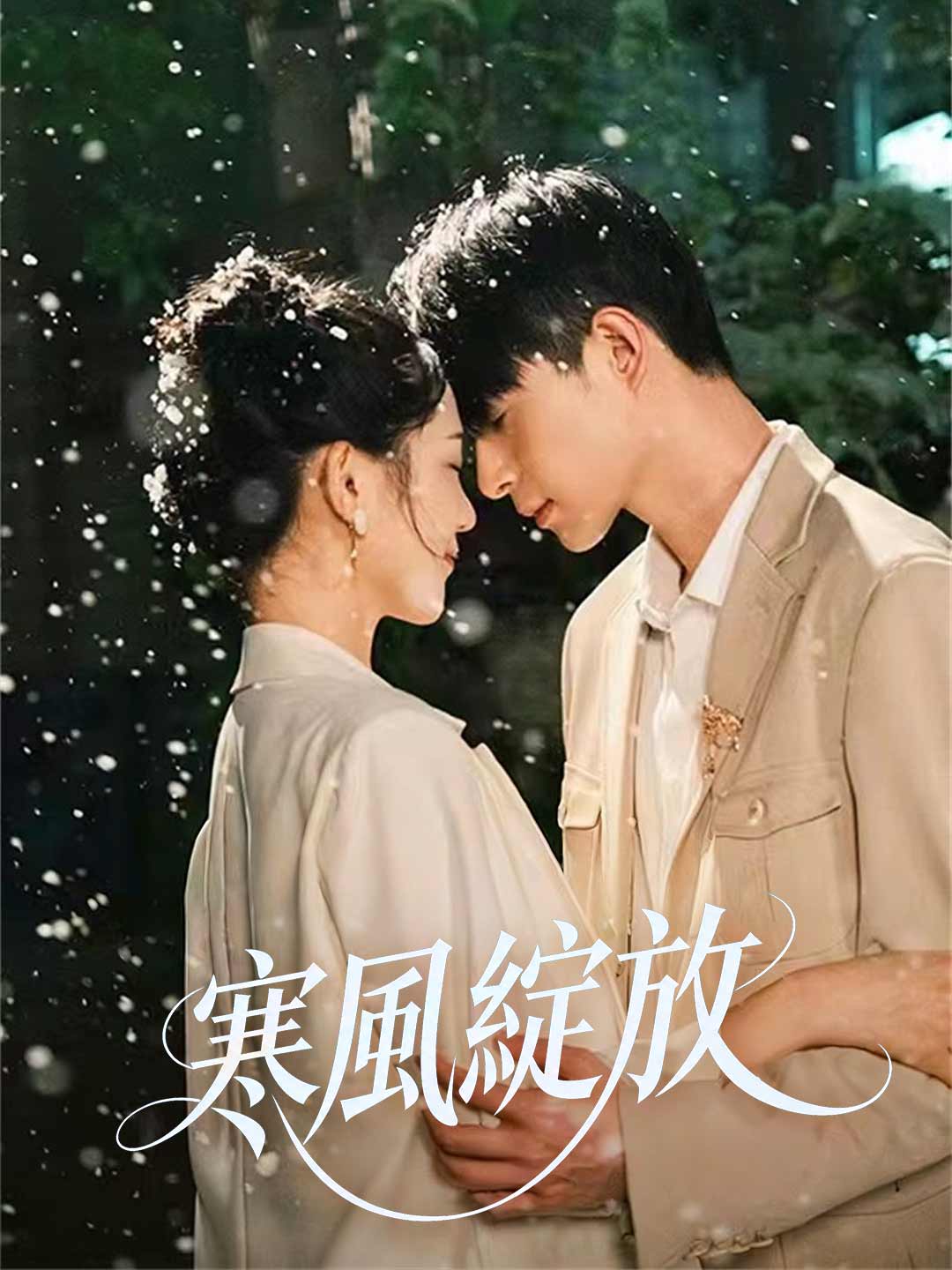 寒風綻放 posteri
