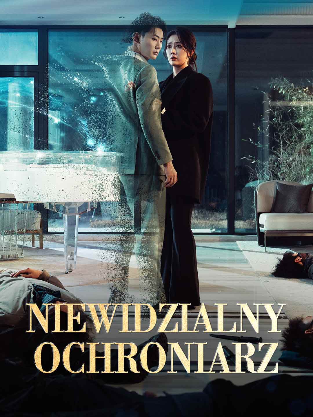 Niewidzialny ochroniarz posteri