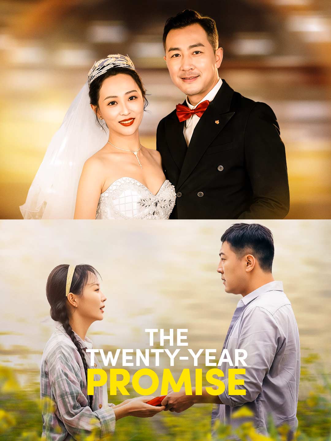 The Twenty-Year Promise posteri