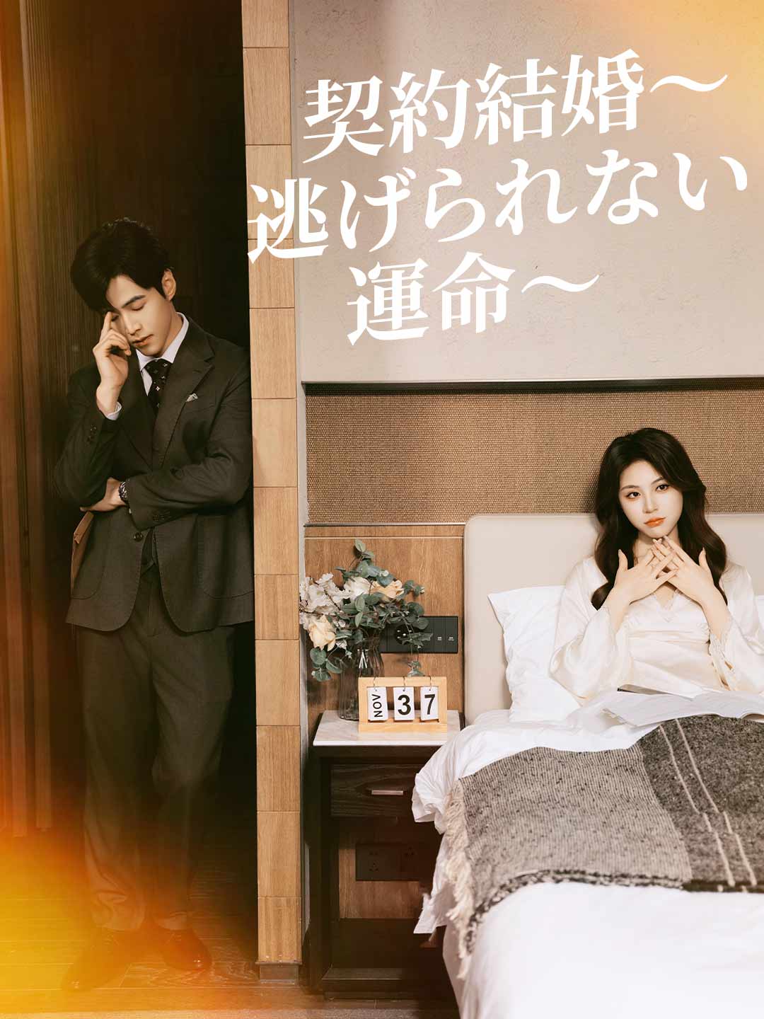 契約結婚~逃げられない運命~ posteri