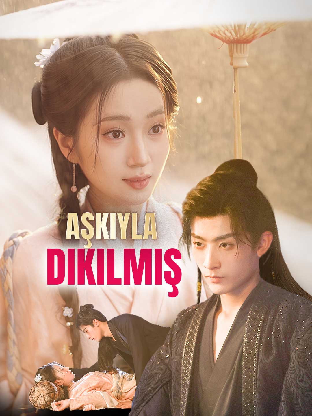 Aşkıyla Dikilmiş posteri