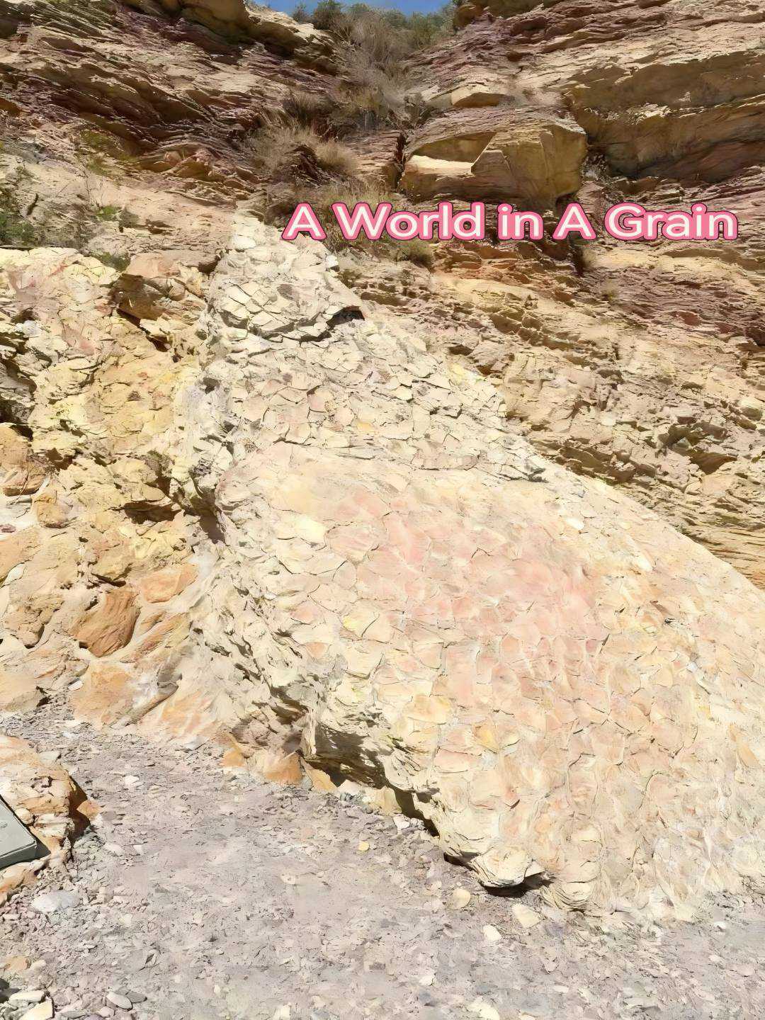A World in a Grain posteri